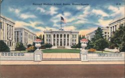 Harvard Medical School Main Building Postcard