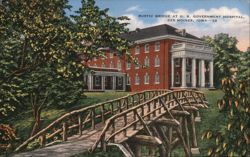Rustic Bridge at U.S. Government Hospital Postcard