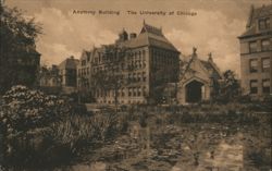 Anatomy Building, The University of Chicago Postcard