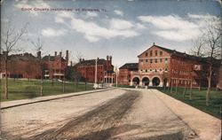 Cook County Institution, Dunning, IL Postcard