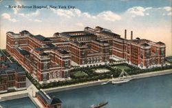New Bellevue Hospital Postcard