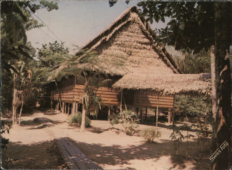 Jungle Lodge, Iquitos Peru