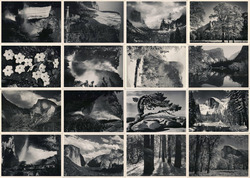 Set of 16: Ansel Adams Yosemite National Park Photos Postcard