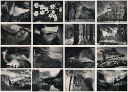 Set of 16: Yosemite Views Postcard