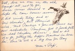 Ducks Flying, Handwritten Message from Mom & Pop Postcard