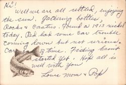 Trout Fish Drawing & 1972 Message from Topock, AZ Postcard