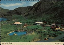Sea Life Park Marine Exhibit Postcard