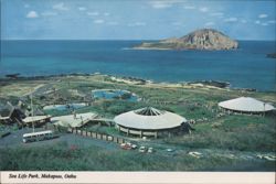 Sea Life Park, Makapuu, Oahu Postcard
