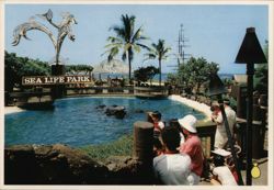 Sea Life Park, Porpoise & Whale Show Postcard