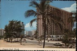 Pompano Beach Oceanfront with Palm Trees & Hotels Postcard