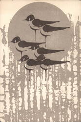 Schrafft's Sandpiper Resort Motor Inn & Restaurant Postcard