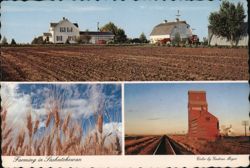 Farming in Saskatchewan: Grain Elevator & Wheat Fields Postcard