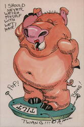 Comic Pig Breaks Scale, Wet Hair Weigh-In Postcard