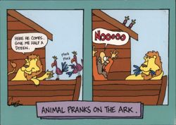 Animal Pranks on the Ark Comic Postcard