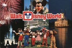 Walt Disney World Characters & Cinderella Castle Fireworks Postcard