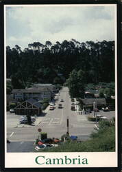 Street View of Cambria Postcard