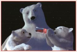 Coca-Cola Polar Bear & Cubs Postcard