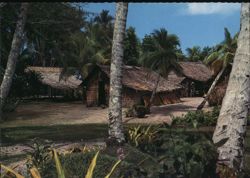 Native Village, Western Solomons Postcard