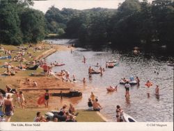 The Lido, River Nidd - People Swimming & Sunbathing Postcard