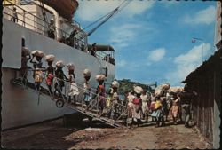 Loading Bananas onto Ship, Martinique Postcard