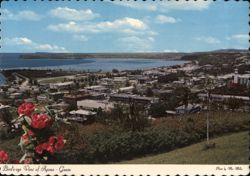 Bird's-eye View of Agana, Capital of Guam Postcard