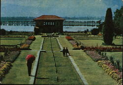 Nishat Bagh Mughal Garden, Kashmir, India Postcard