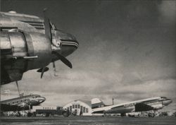 DC-3 Airplanes at Flugfelag Islands Airfield Postcard