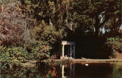 Lot of 3000 Unused Vintage Postcards: Golden Gate Park Portals of the Past Postcard