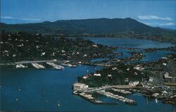 Lot of 500 Unused Postcards: Aerial View of Southern Marin County, California Postcard