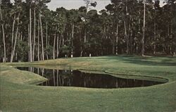 7th Green - Spyglass, The Indian Village Hole Postcard