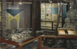 California State Museum of Science and Industry, Los Angeles Postcard