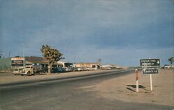 Joshua Tree, California - Street View with Road Sign Postcard