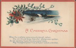 Cheerful Christmas Poinsettia Mistletoe Snowy Landscape Poem 1919 Postcard