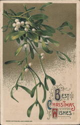 Mistletoe with White Berries, Best Christmas Wishes Postcard
