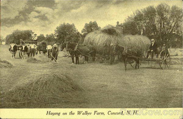 Haying On The Walker Farm Concord New Hampshire