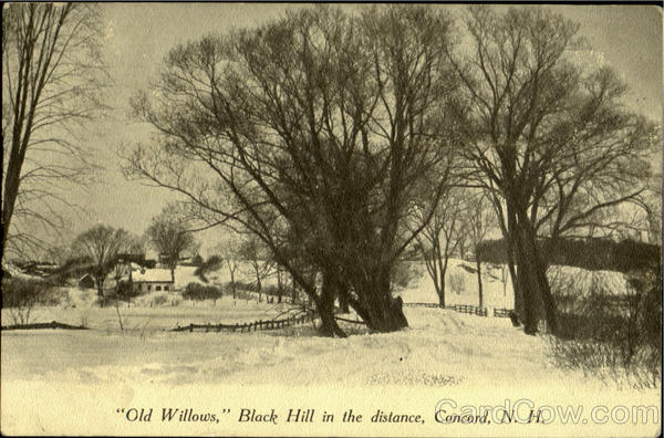 Old Willows Concord New Hampshire