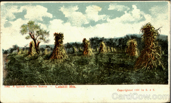 A Typical Autumn Scene Catskills New York