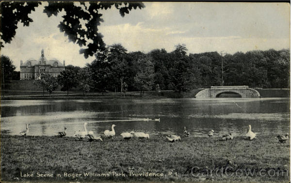 Lake Scene In Roger Williams Park Providence Rhode Island