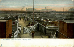 Union Stock Yards Postcard