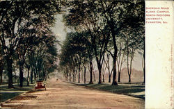Sheridan Road Along Campus, North-Western University Postcard