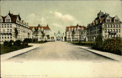 Chicago University Postcard