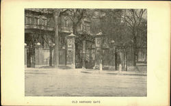 Old Harvard Gate Postcard