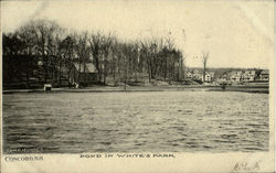 Pond In White's Park Postcard
