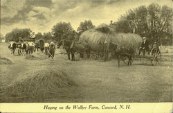 Haying On The Walker Farm Concord, NH Postcard Postcard