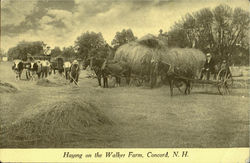 Haying On The Walker Farm Postcard