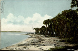 Oleander Point Postcard