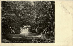 Alum Rock Park Postcard