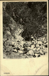 Canon In Winter, Alum Rock Park Postcard