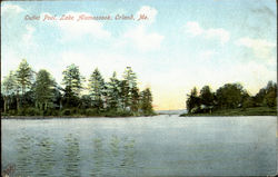 Outlet Pool, Lake Alamoosook Orland, ME Postcard Postcard