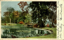 Lily Pond, Elizabeth Park Hartford, CT Postcard Postcard